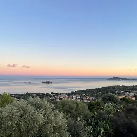 Strenia