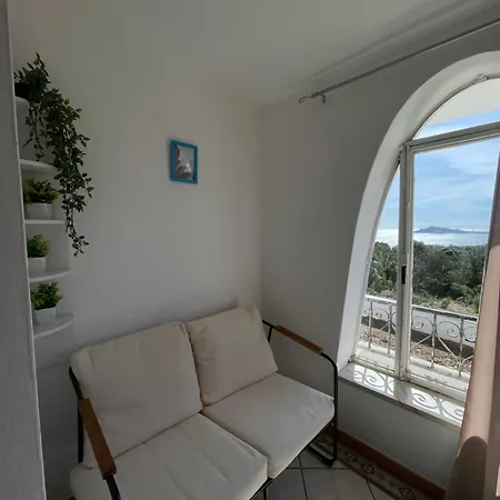 Guest house Strenia *